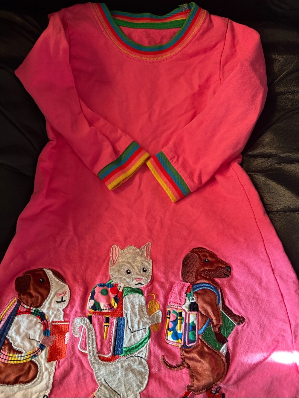 Girls Pink Dress with Rainbow Trim and Animal Appliqués